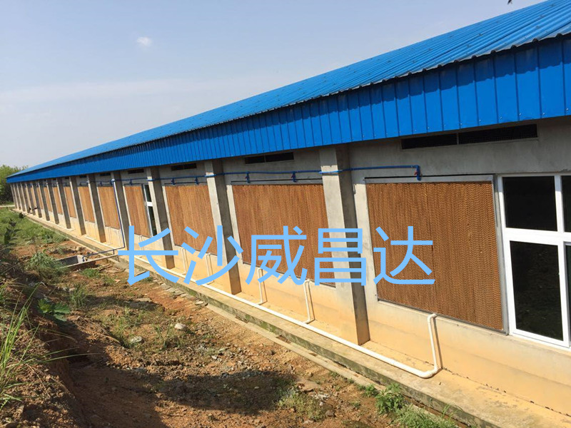 夏季燒烤模式開啟，您的養(yǎng)殖畜禽舍降溫了嗎？湖南水簾風機專業(yè)為養(yǎng)殖畜禽舍降溫